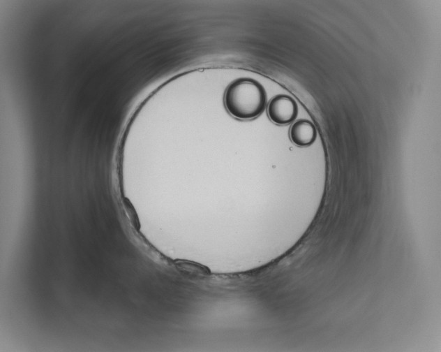 X0000110860960200907161354