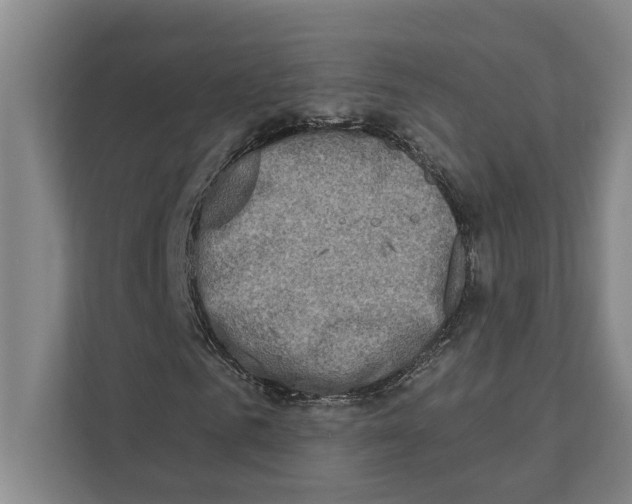 X0000110860961200907161353