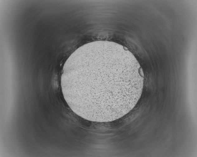 X0000110860962200907161353