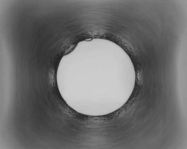 X0000110860963200907161353
