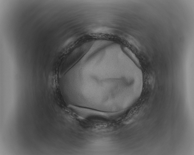 X0000110860965200907161353