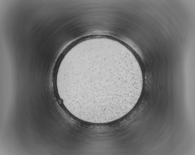 X0000110860972200907161353
