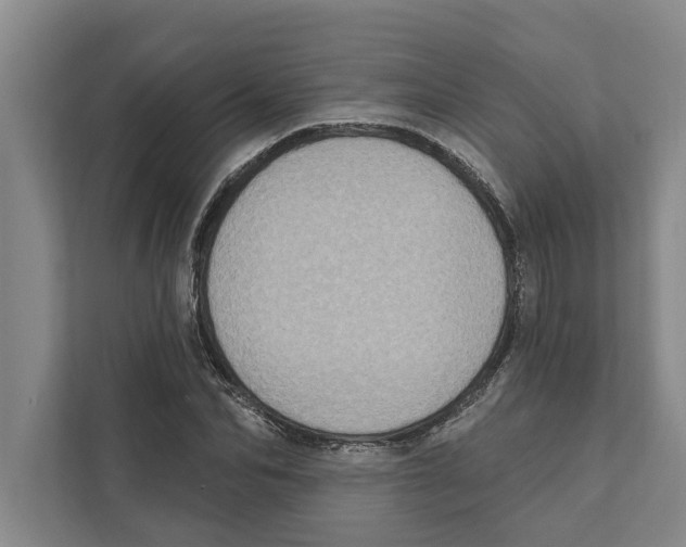 X0000110860974200907161353