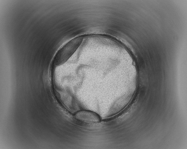 X0000110860981200907161353
