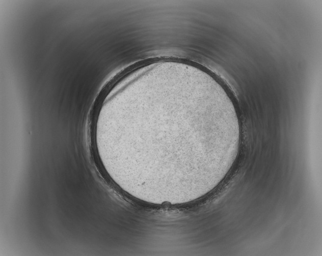 X0000110860983200907161353