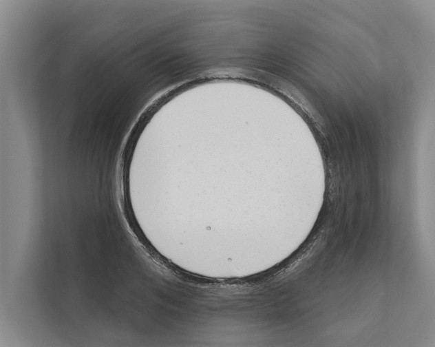 X0000110860984200907161353