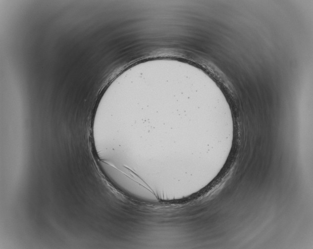 X0000110860985200907161353