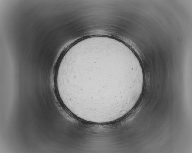 X0000110860987200907161353