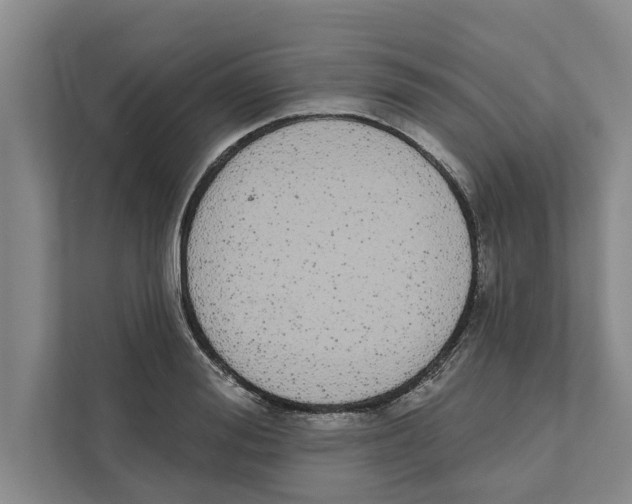X0000110860988200907161353