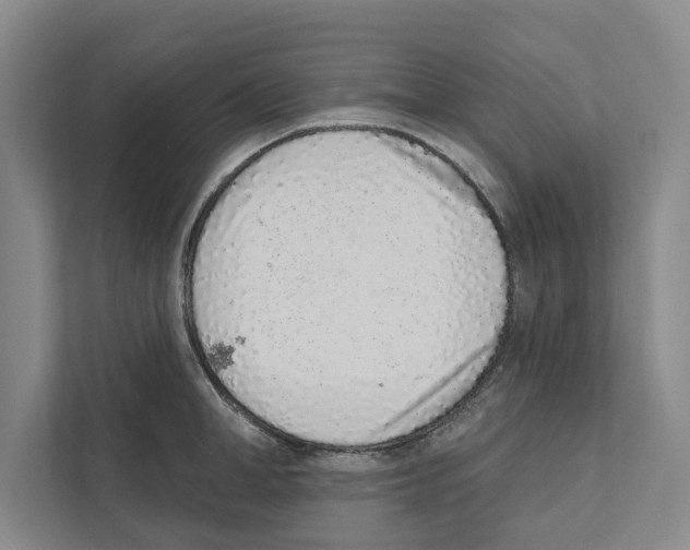X0000110860998200907161353