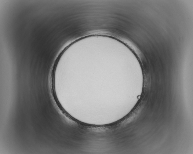 X0000110860999200907161353