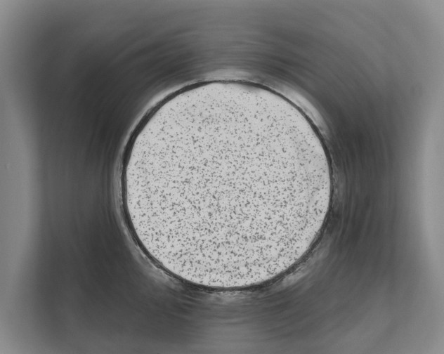 X0000110861000200907161353