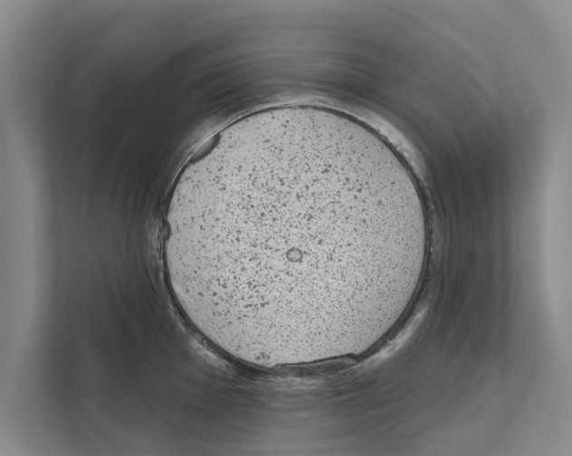 X0000110861001200907161353