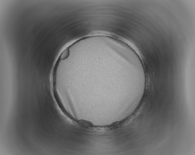 X0000110861003200907161353