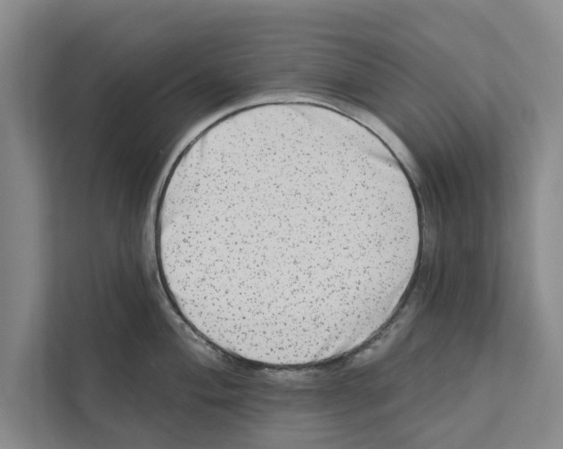 X0000110861004200907161353