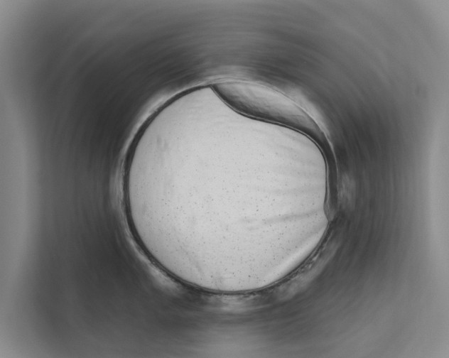 X0000110861005200907161353
