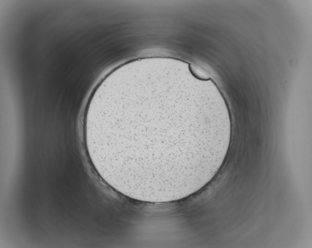 X0000110861008200907161353