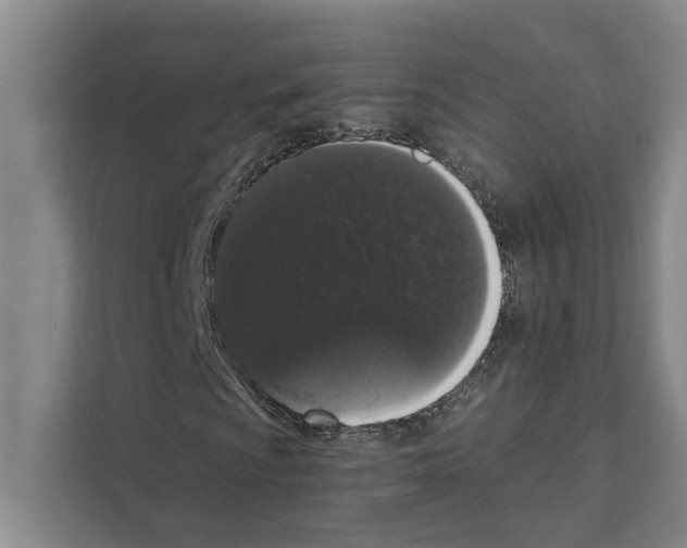 X0000110861009200907161352