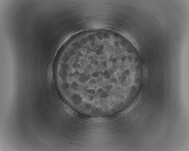 X0000110861023200907161352