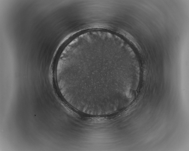 X0000110861024200907161352