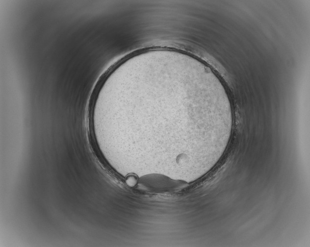 X0000110861028200907161352