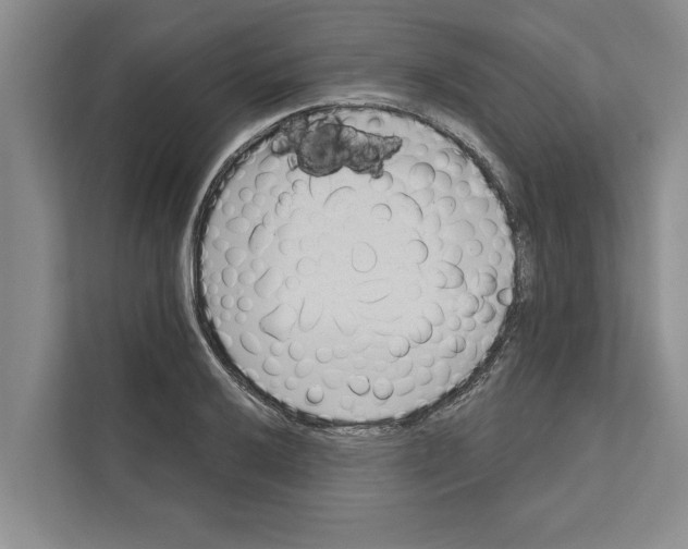 X0000110861032200907161352