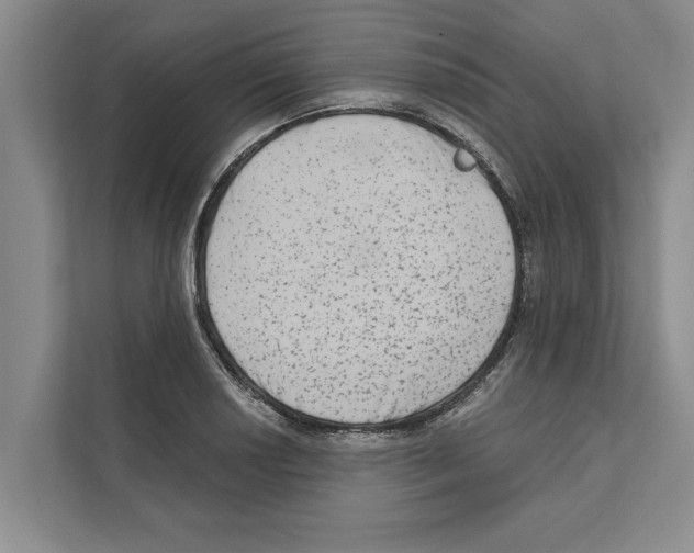 X0000110861034200907161352