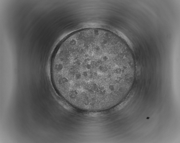 X0000110861035200907161352