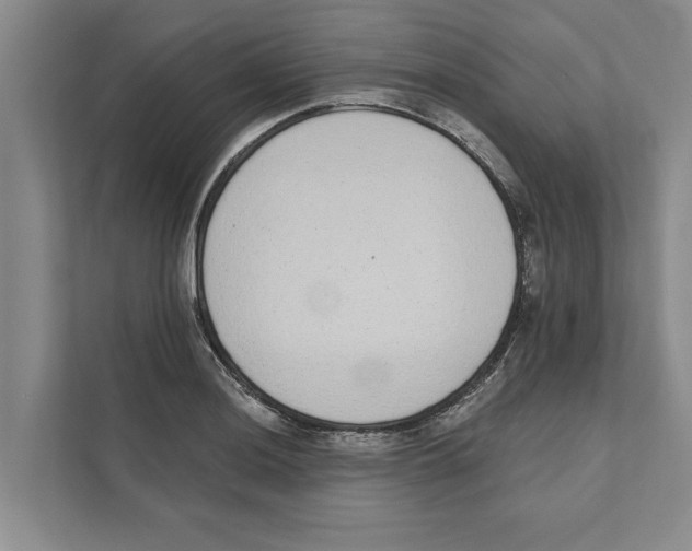 X0000110861036200907161352