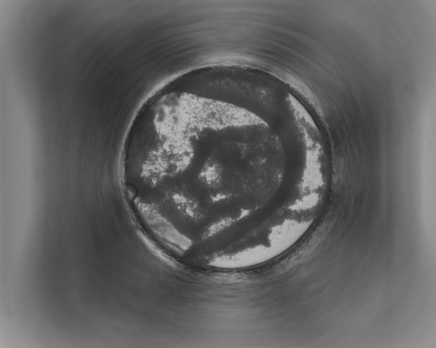 X0000110861037200907161352
