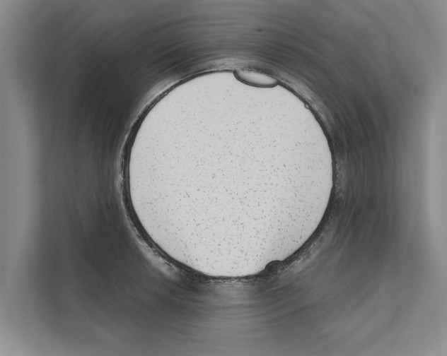 X0000110861042200907161352