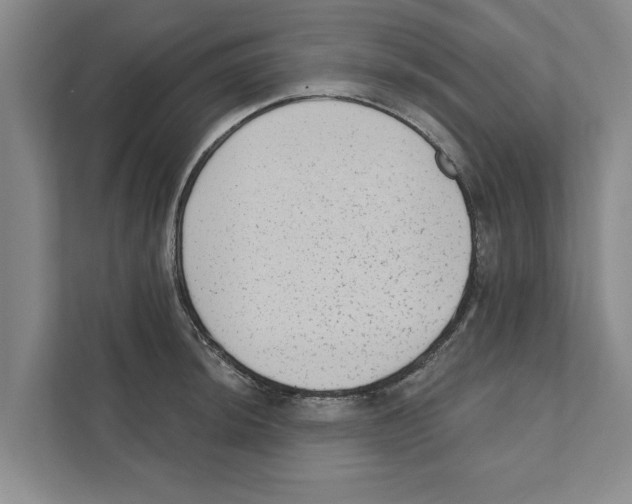 X0000110861044200907161352
