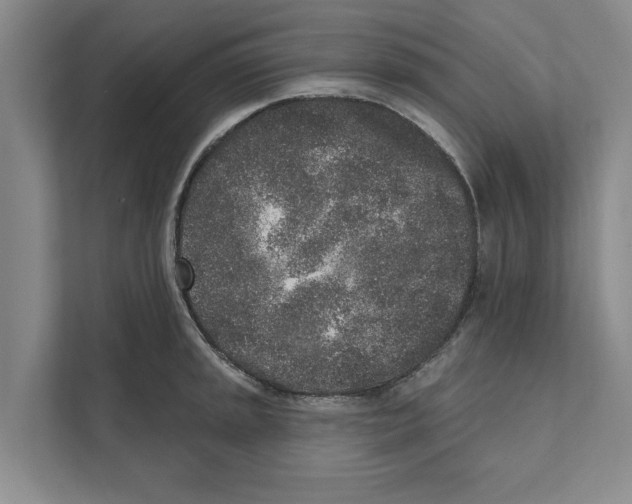 X0000110861045200907161352