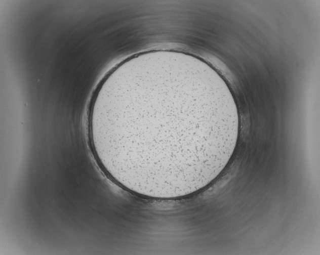 X0000110861046200907161352