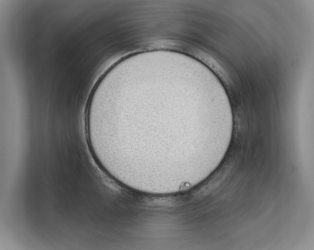X0000110861047200907161352