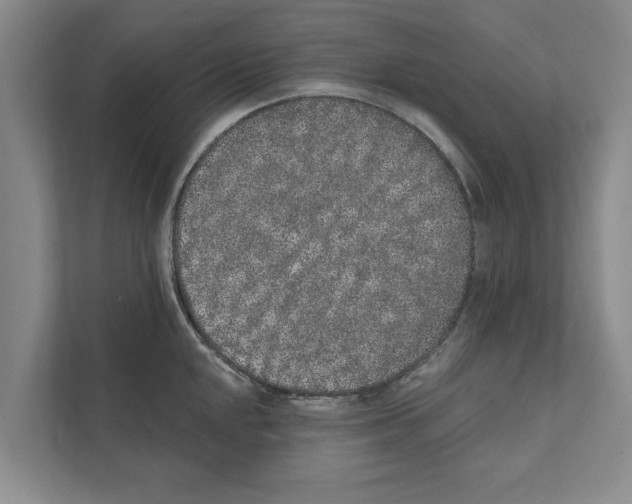 X0000110861048200907161352