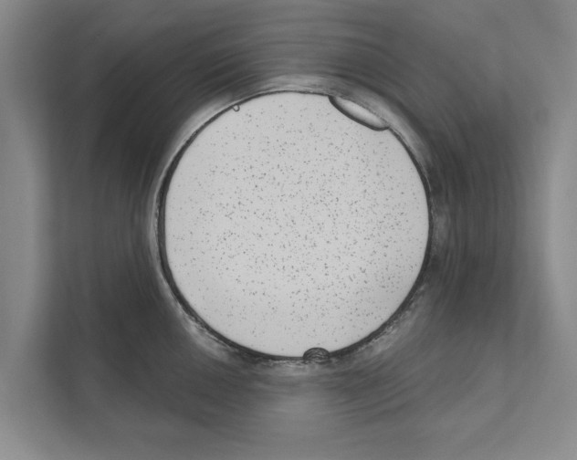 X0000110861050200907161352