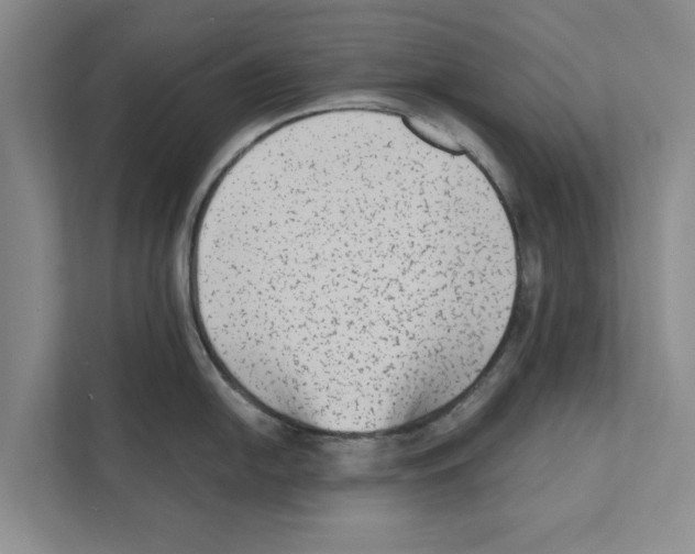 X0000110861054200907161353