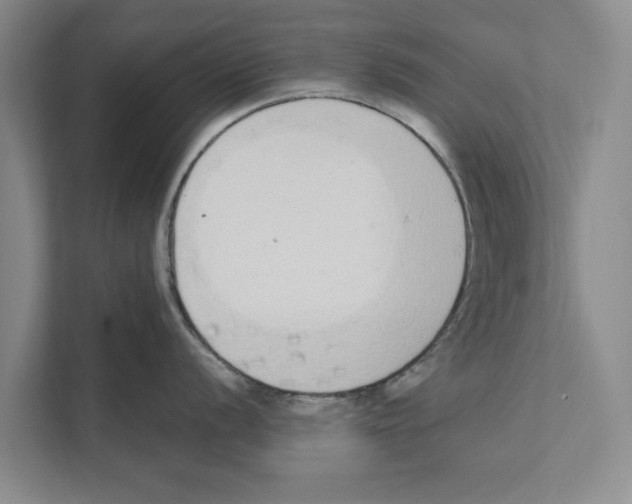 X0000110861056200907161353