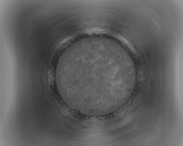X0000110861063200907161352