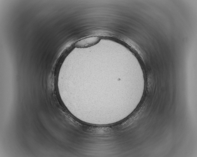 X0000110861067200907161352