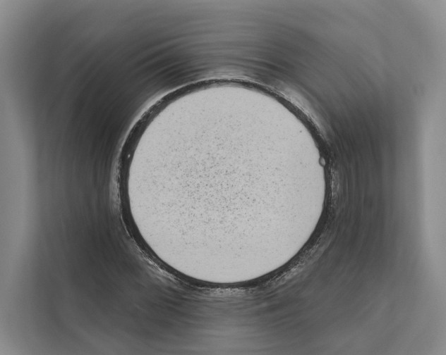 X0000110861068200907161352