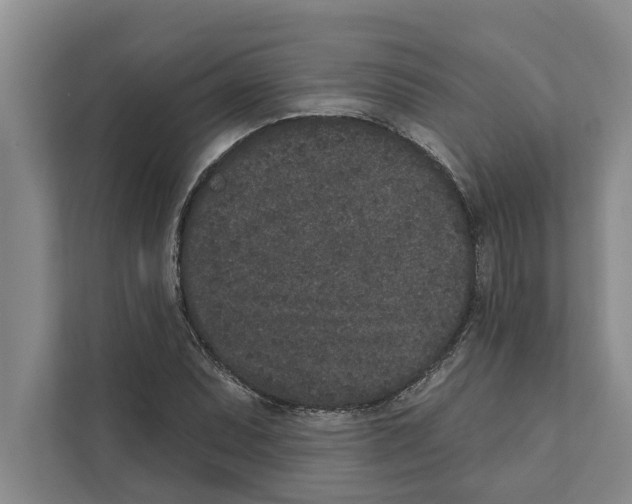 X0000110861071200907161352