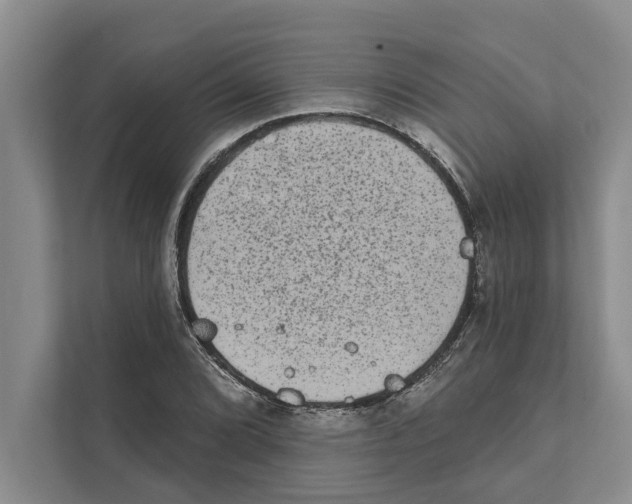 X0000110861072200907161352