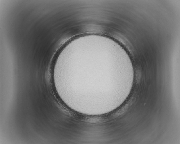 X0000110861074200907161352