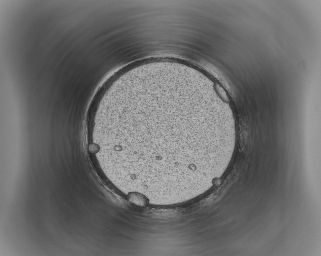 X0000110861076200907161352
