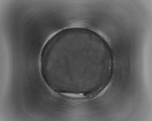 X0000110861077200907161352