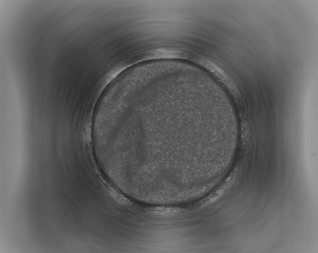 X0000110861081200907161352
