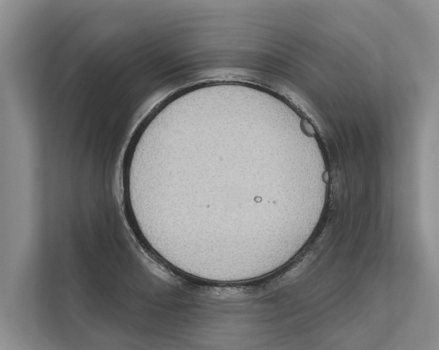 X0000110861082200907161352