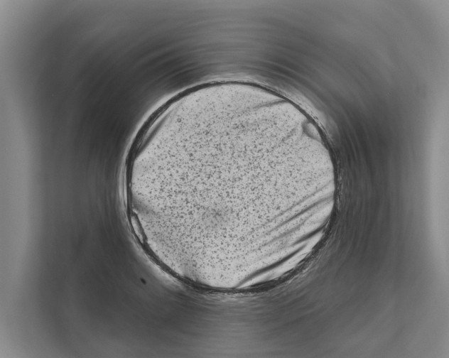 X0000110861084200907161352